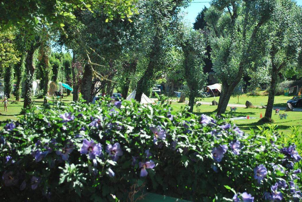 Camping Les Tournesols Sillé-le-Guillaume Εξωτερικό φωτογραφία