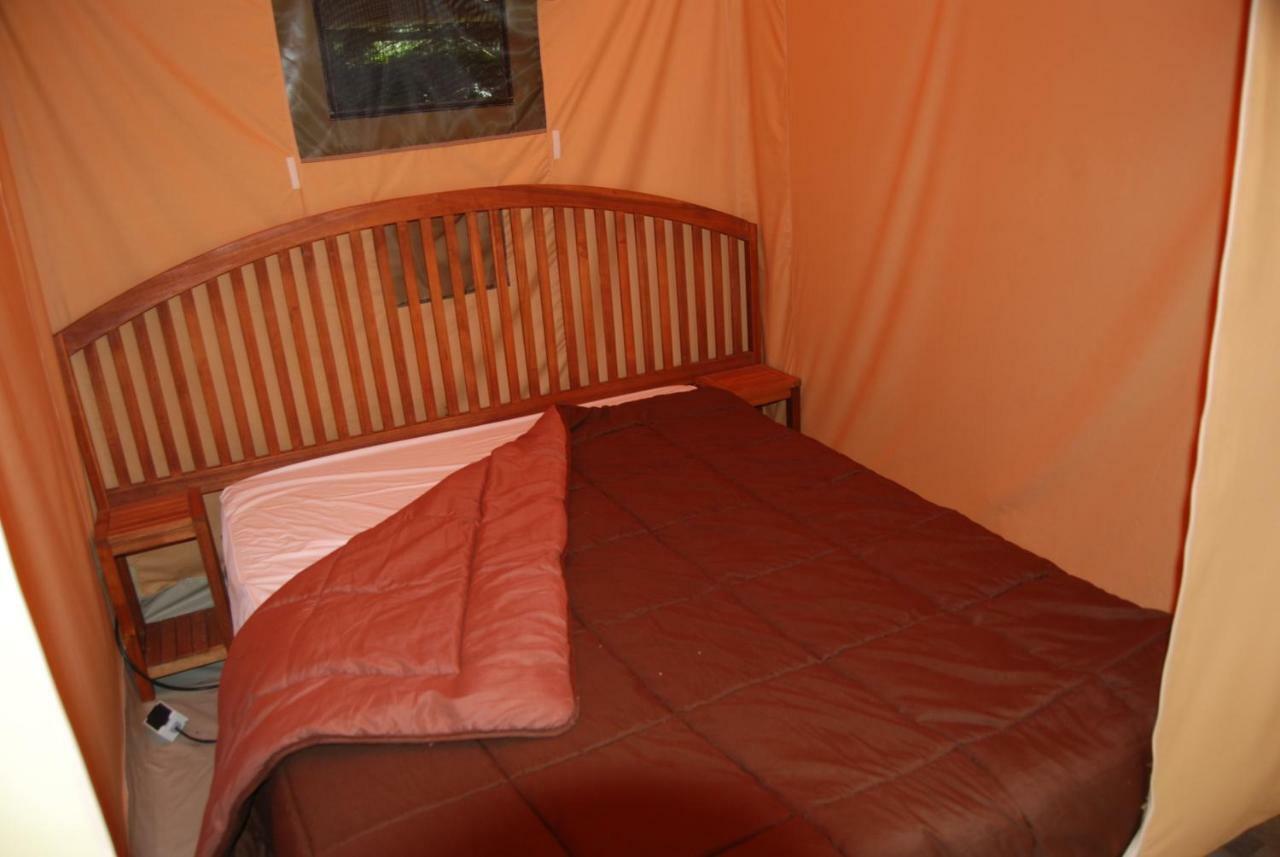 Camping Les Tournesols Sillé-le-Guillaume Εξωτερικό φωτογραφία