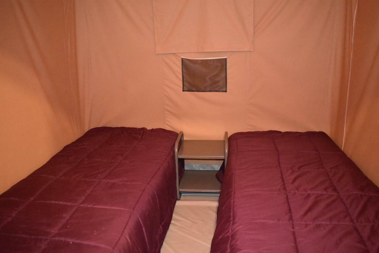 Camping Les Tournesols Sillé-le-Guillaume Εξωτερικό φωτογραφία